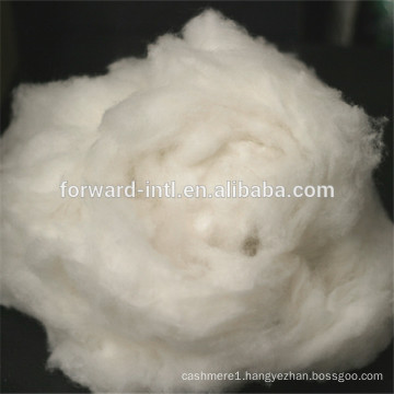 precious material dehaired cashmere fibre , pashmina wool